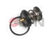 Termostat, chladivo JPN 20C9022-JPN